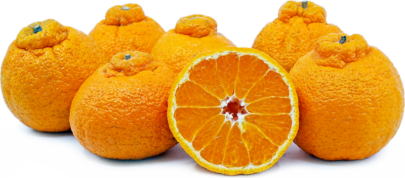 Burnac Sumo Oranges