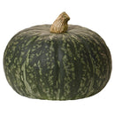 Kabocha Squash
