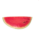 Watermelon Quarter