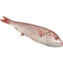 Diana's B-Liner Whole Snapper